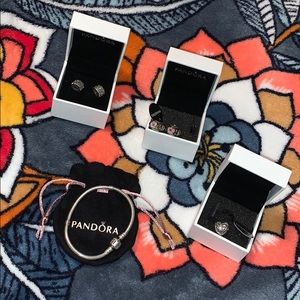 Pandora Braclet and Charms